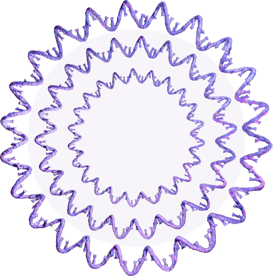 DNA single strands