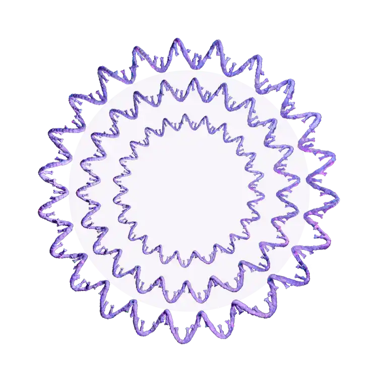 DNA single strands
