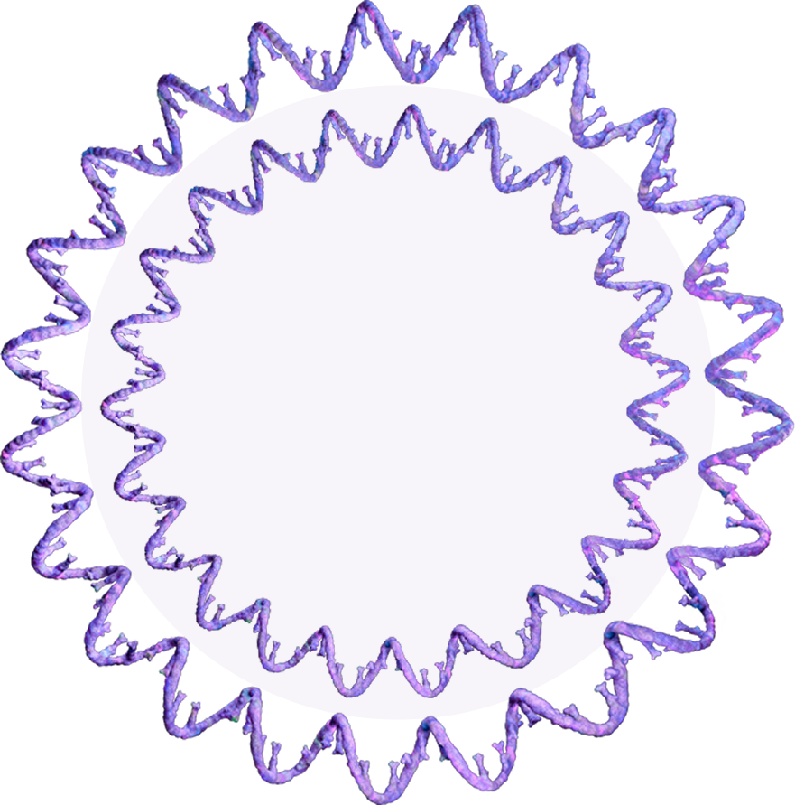 DNA single strands