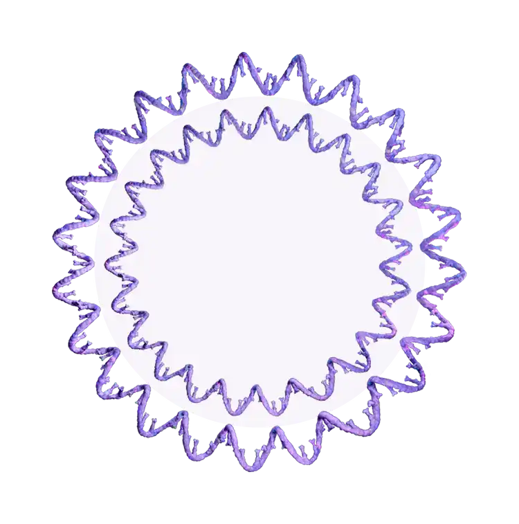 DNA single strands