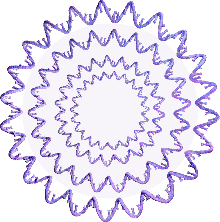 DNA single strands