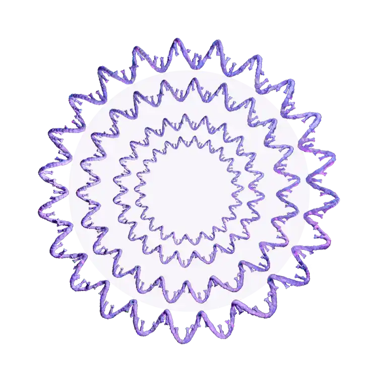 DNA single strands