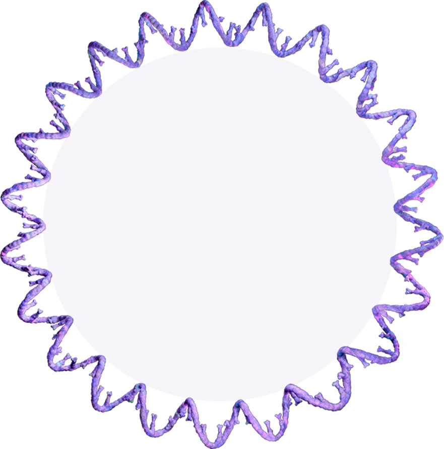 DNA single strands