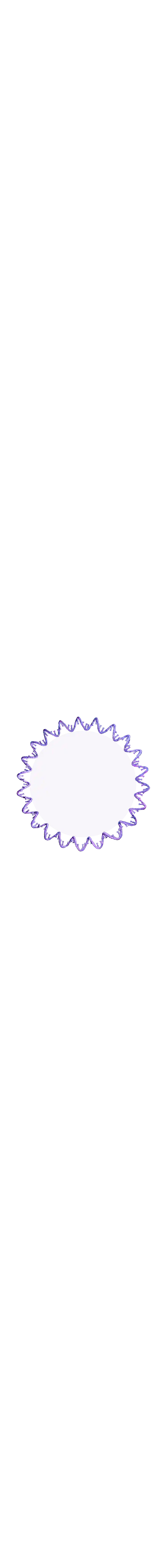 DNA single strands