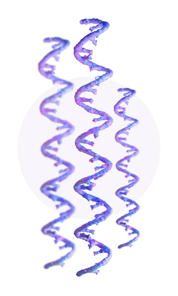 DNA single strands