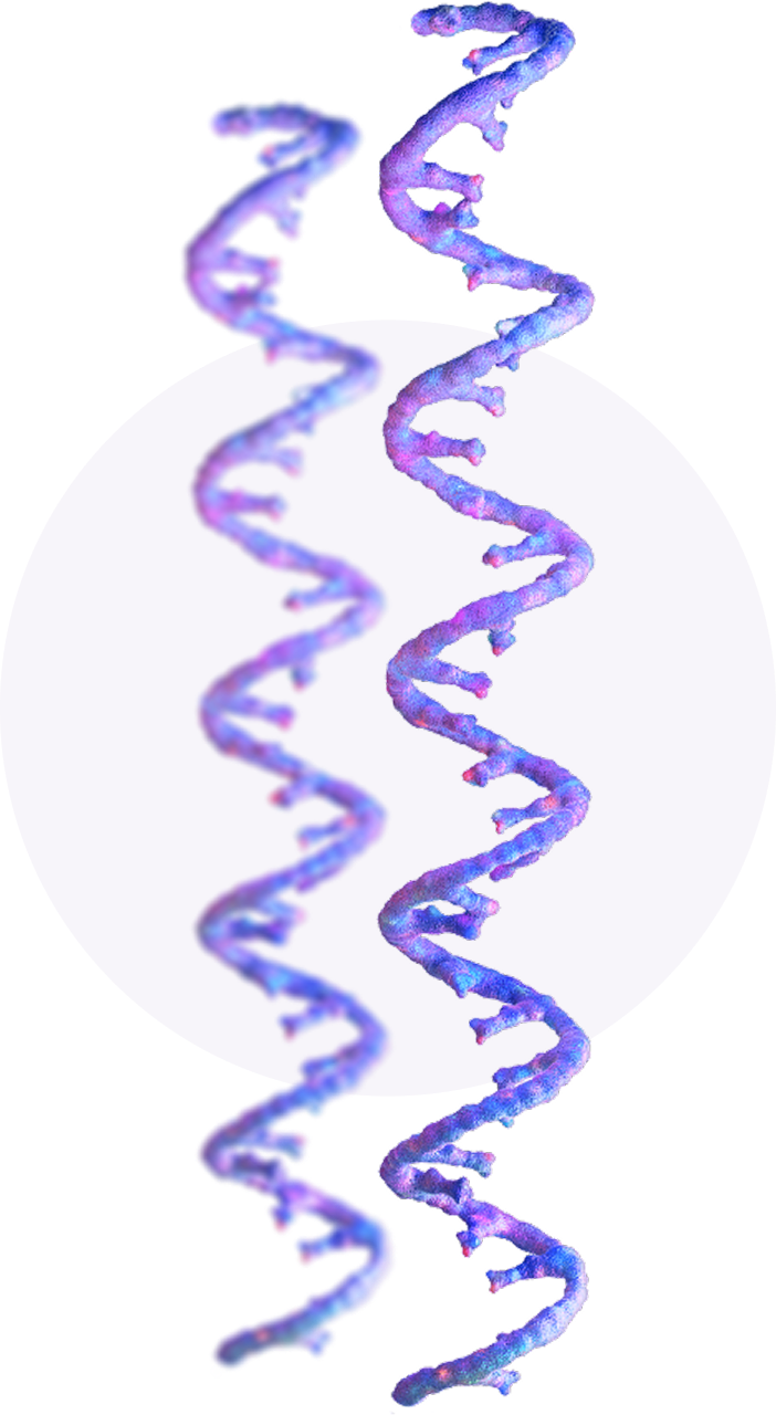 DNA single strands