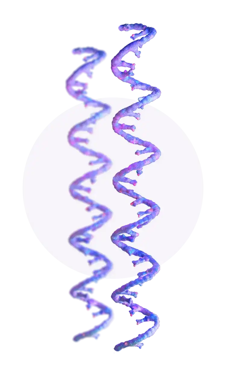 DNA single strands