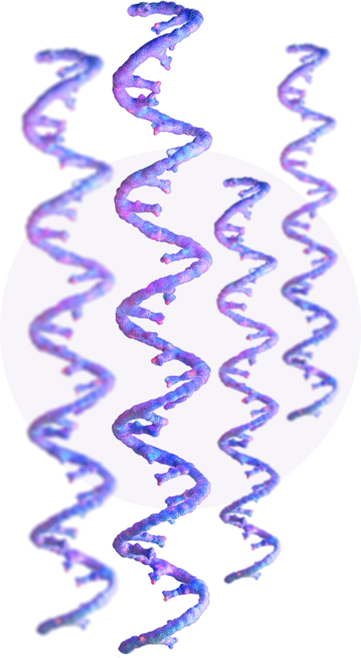 DNA single strands