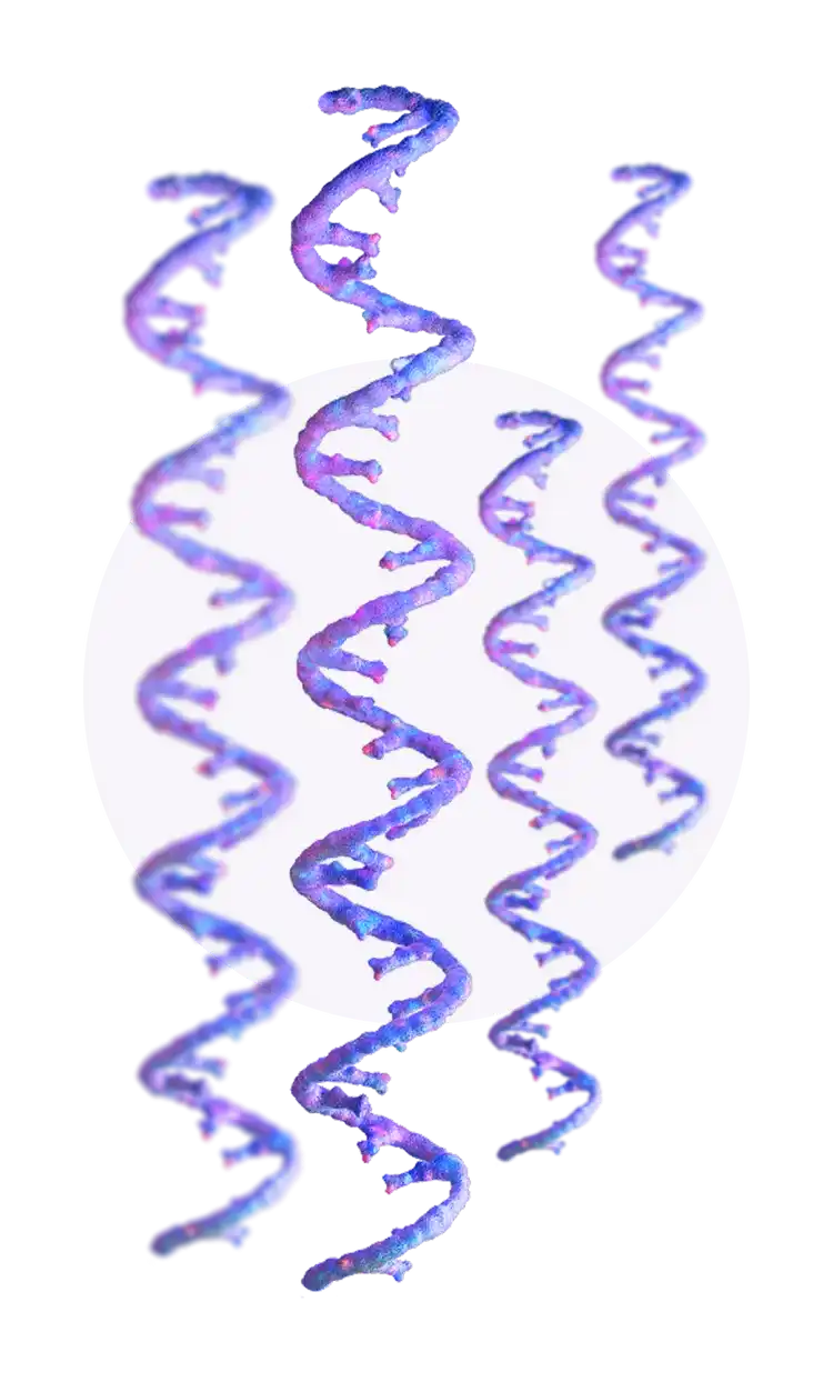 DNA single strands