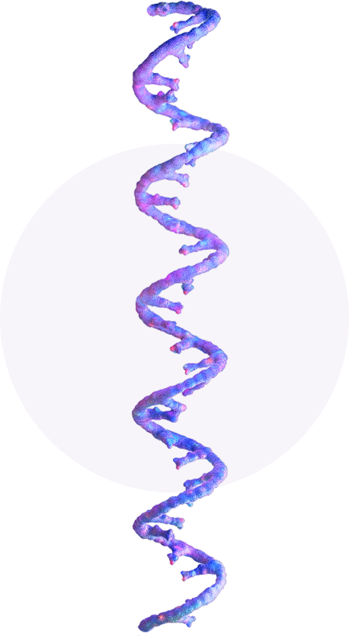 DNA single strands