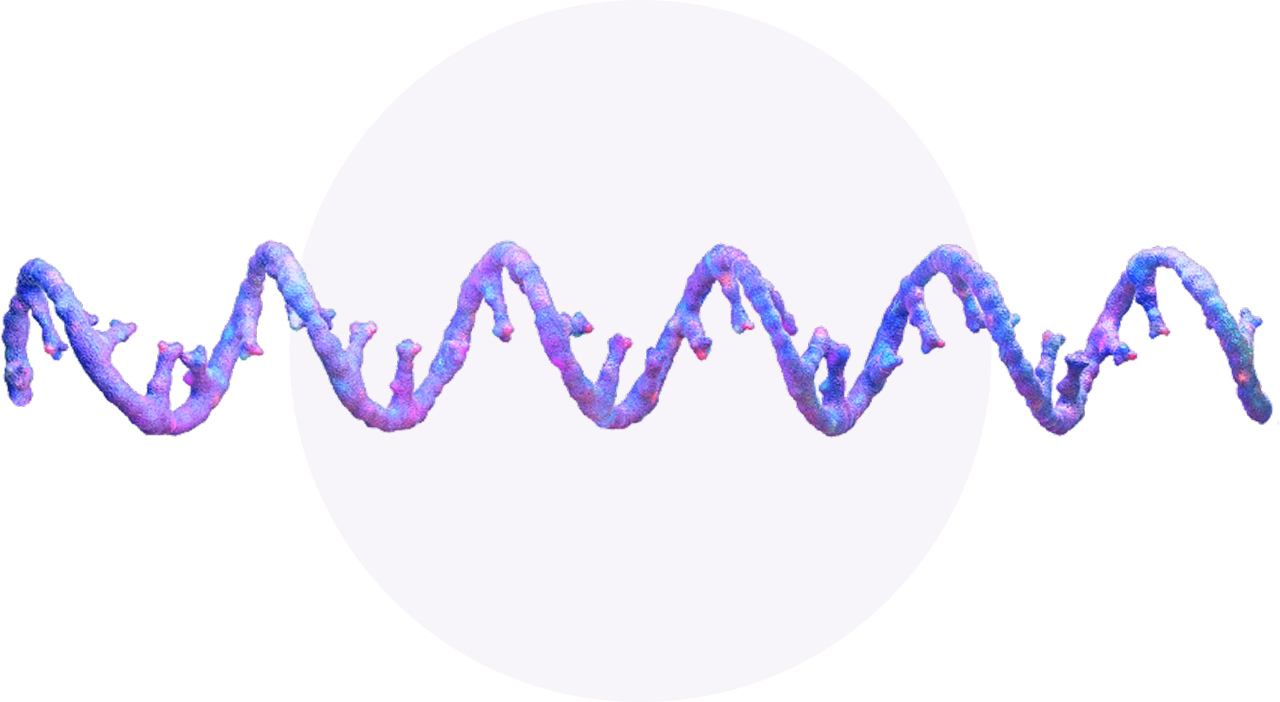 DNA single strands