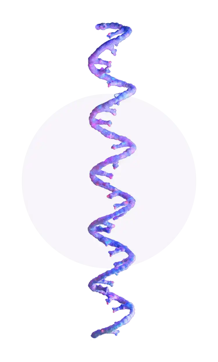 DNA single strands