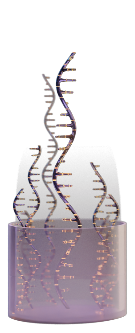 DNA single strands