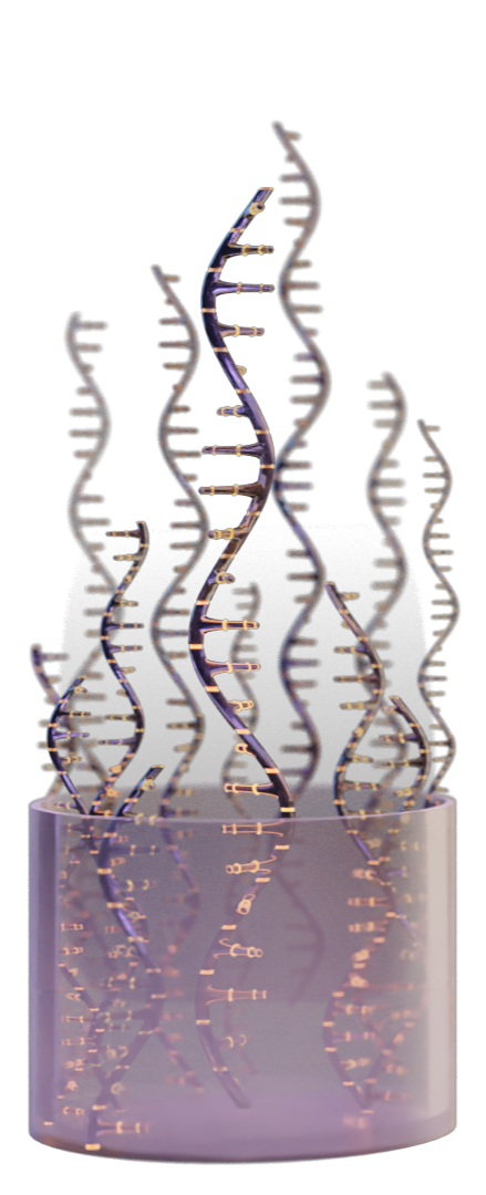 DNA single strands